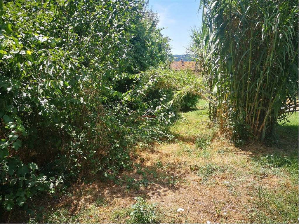 Terreno a Città di castello in Via Carlo Porta - Foto 3