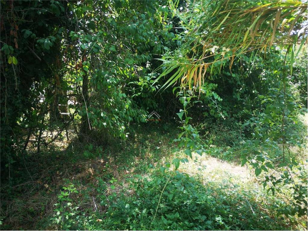 Terreno a Città di castello in Via Carlo Porta - Foto 4