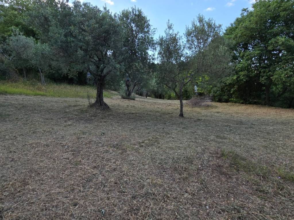 Terreno a Bonea in Via San Pietro - Foto 2