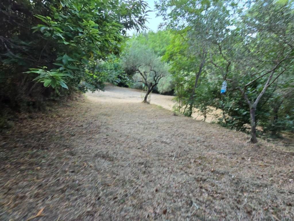 Terreno a Bonea in Via San Pietro - Foto 3