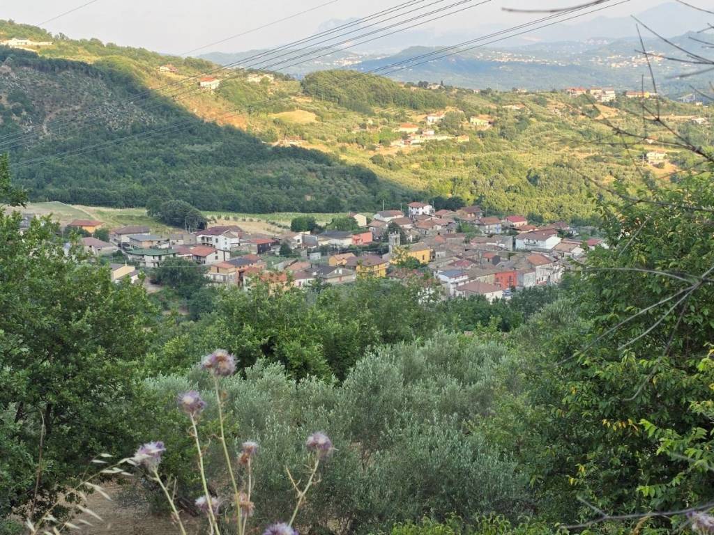 Terreno a Bonea in Via San Pietro - Foto 4