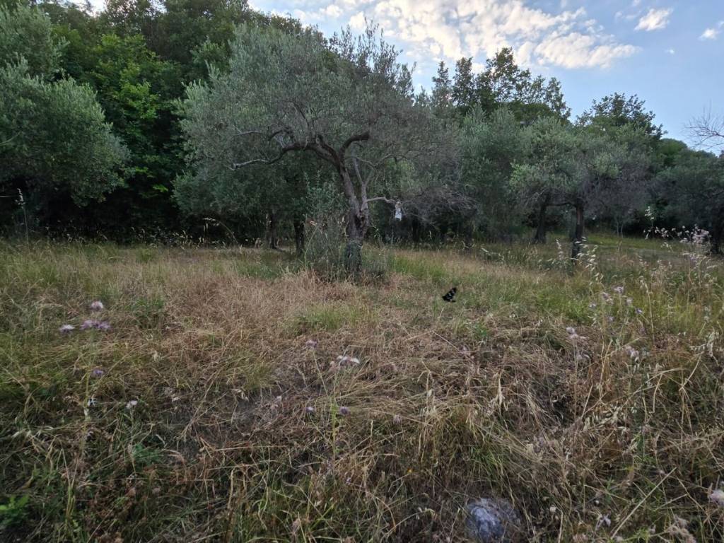 Terreno a Bonea in Via San Pietro - Foto 5