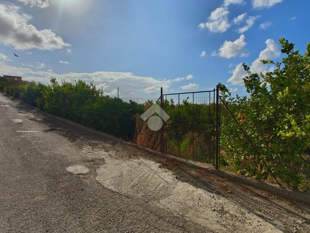 Terreno a Campofelice di roccella in Contrada Calzata - Foto 5