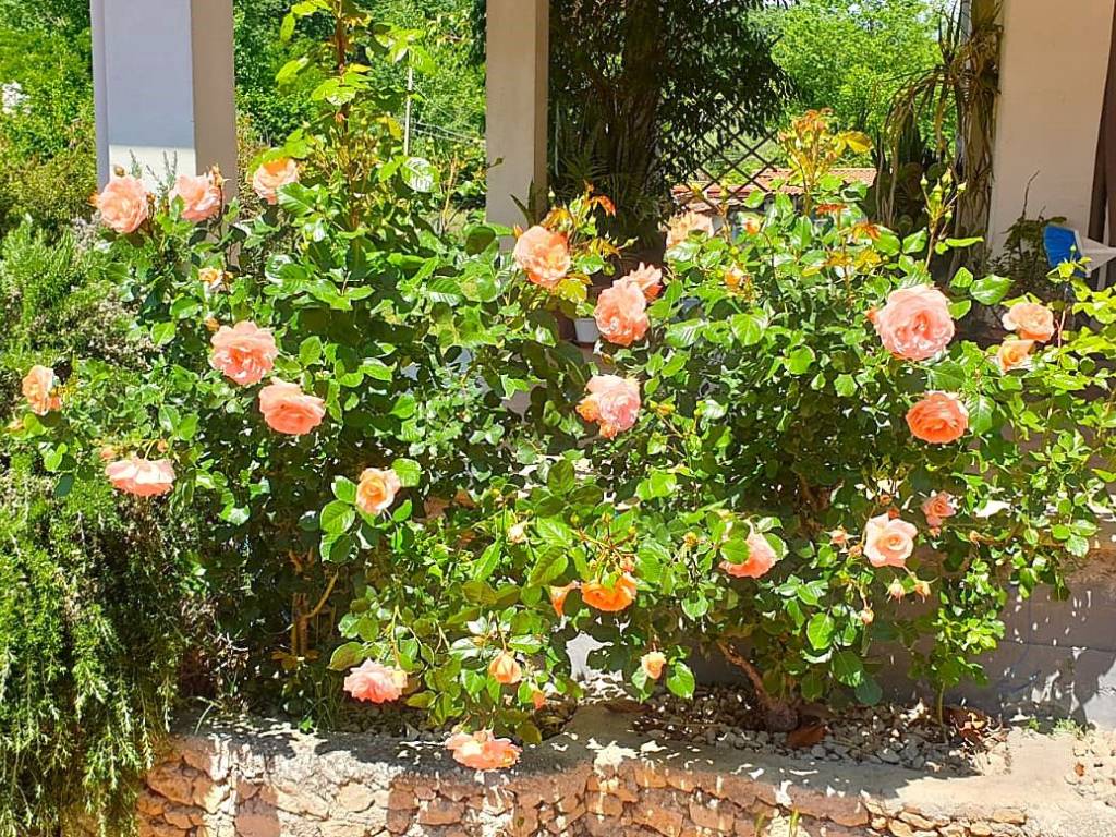 Villa a Frosinone in Via Vetiche, 129 - Foto 5