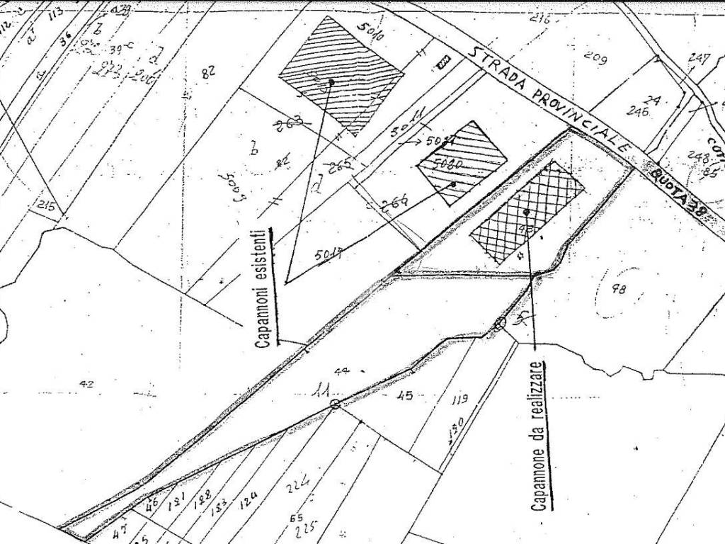 Terreno a Castel campagnano in Via SP49, 11 - Foto 5