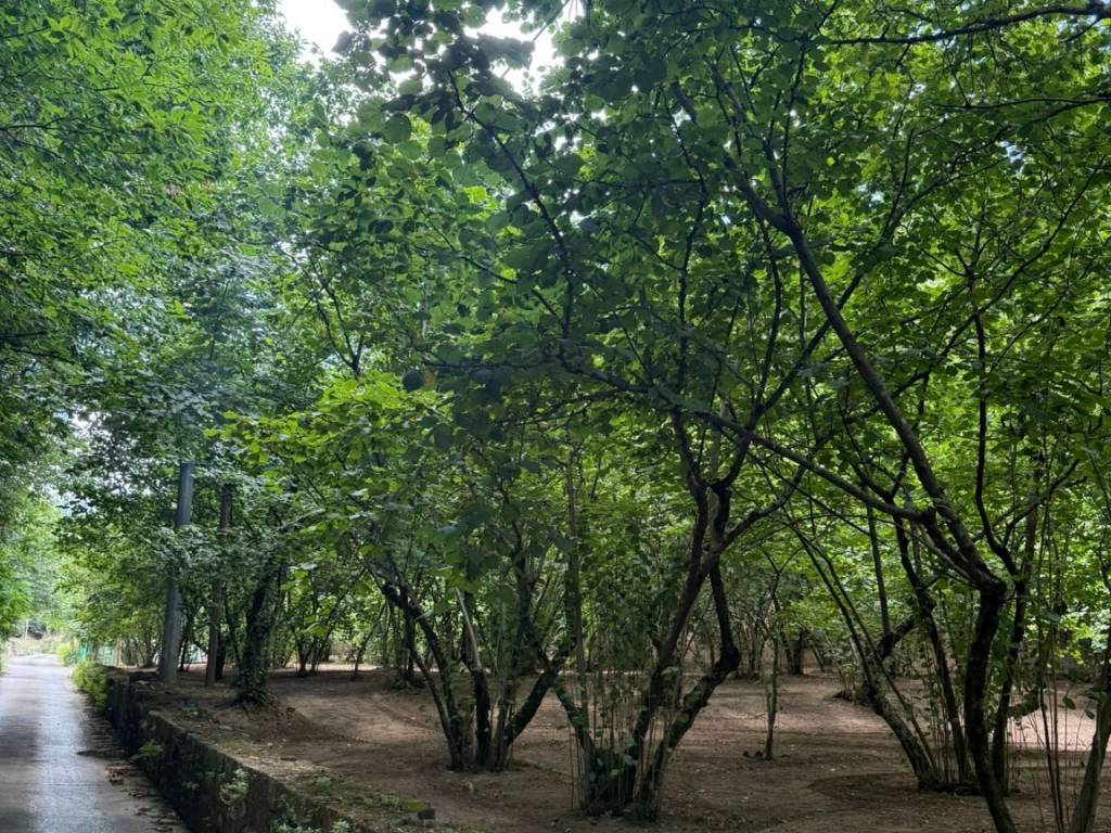 Terreno a Avellino in Via Giuseppe Zigarelli - Foto 3
