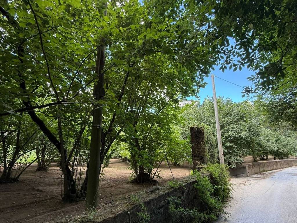 Terreno a Avellino in Via Giuseppe Zigarelli - Foto 4
