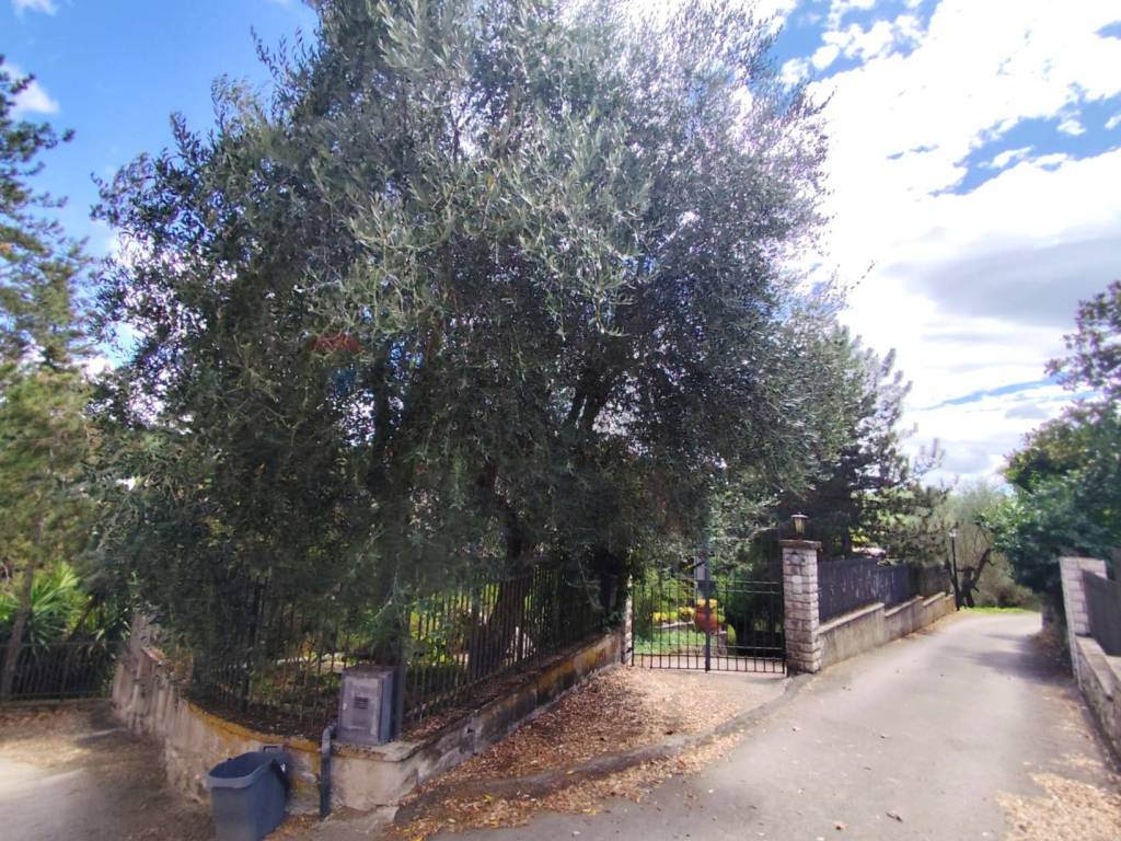 Villa a Baschi in via del filatoio, 14 - Foto 3