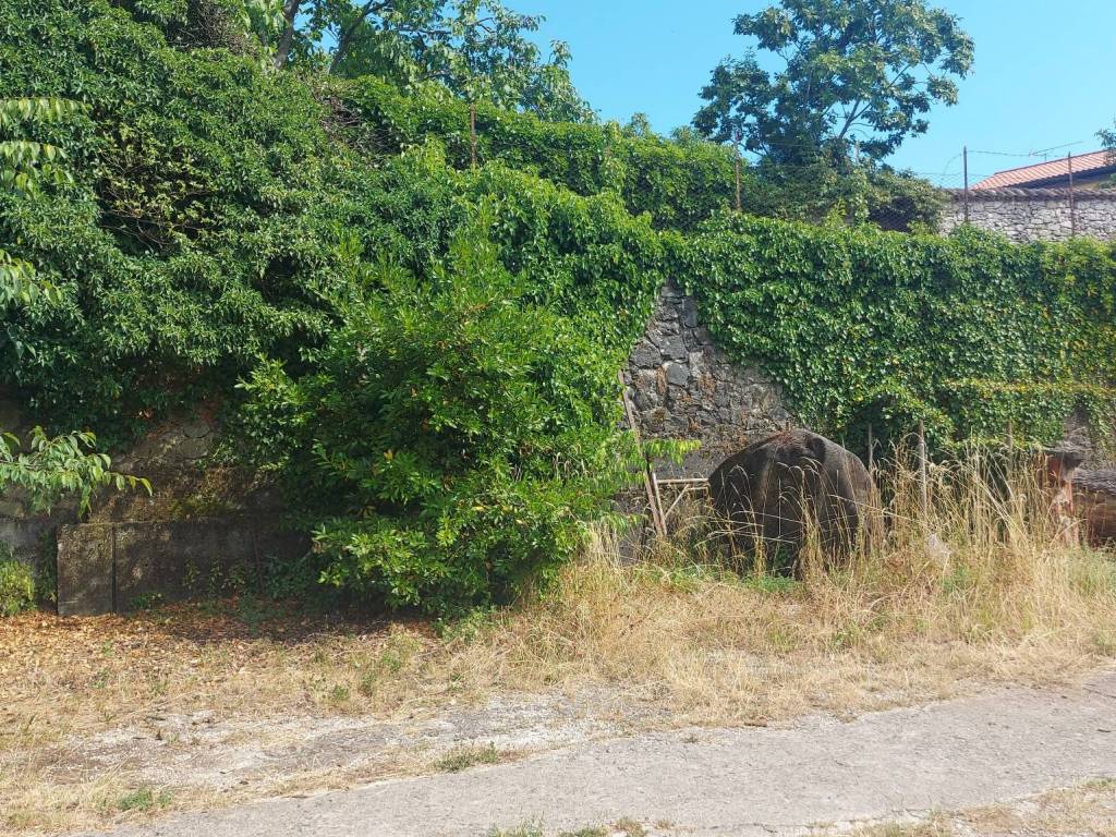 Terreno a Trieste - Foto 5