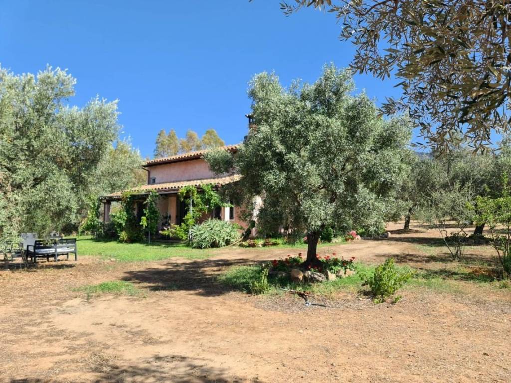 Rustico / casale a San vito - Foto 3
