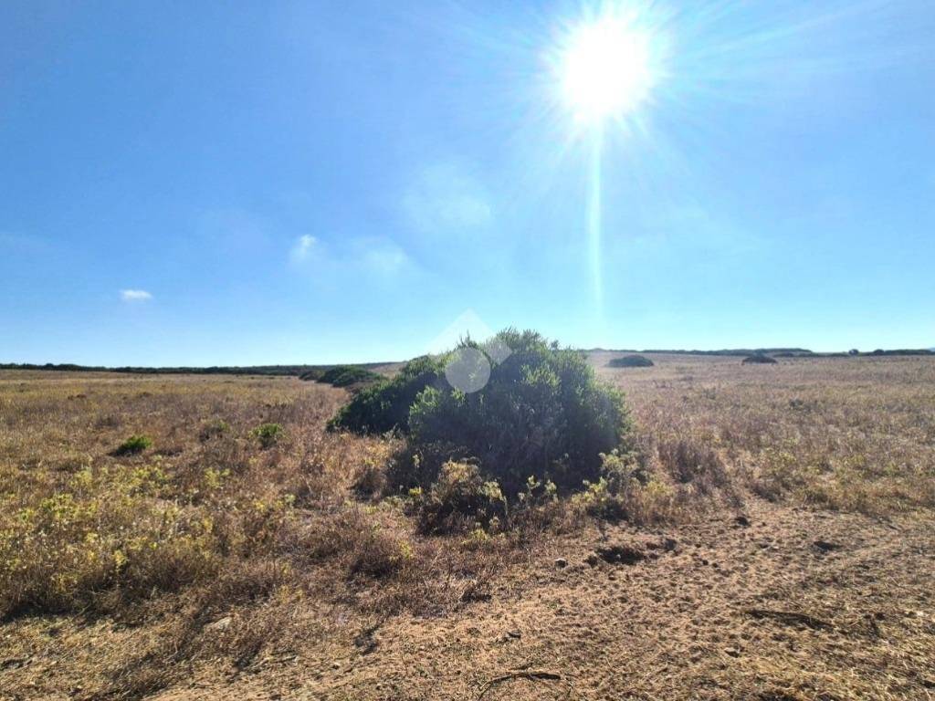Terreno a Calasetta in LOCALITA' MERCUREDDU - Foto 2