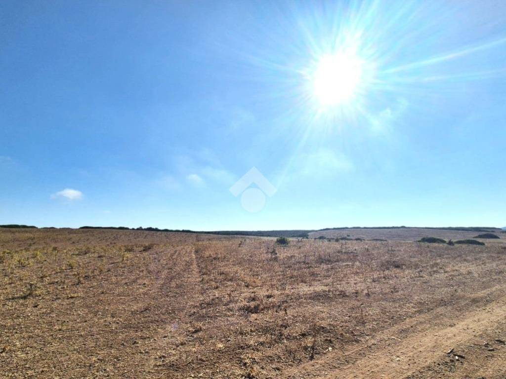 Terreno a Calasetta in LOCALITA' MERCUREDDU - Foto 3