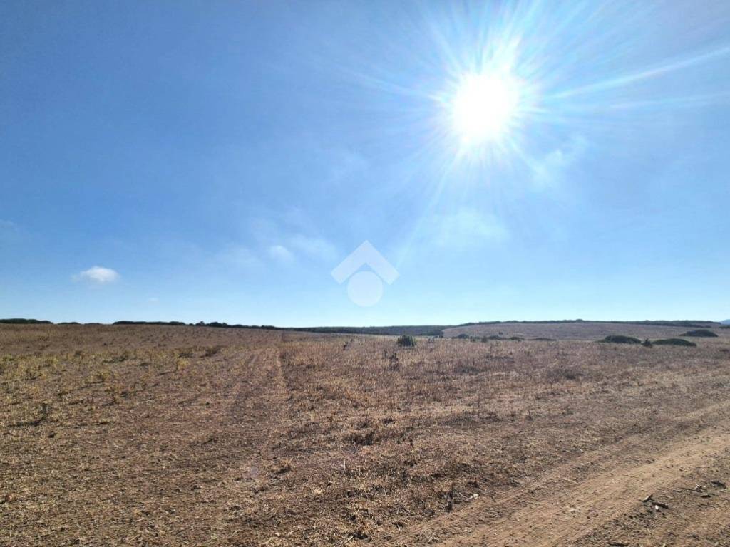 Terreno a Calasetta in LOCALITA' MERCUREDDU - Foto 4
