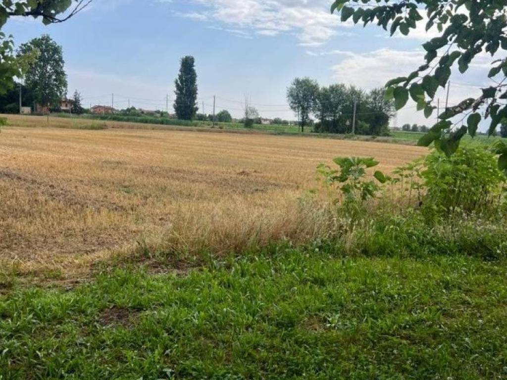 Villa a Solesino in Via Cuoro - Foto 2