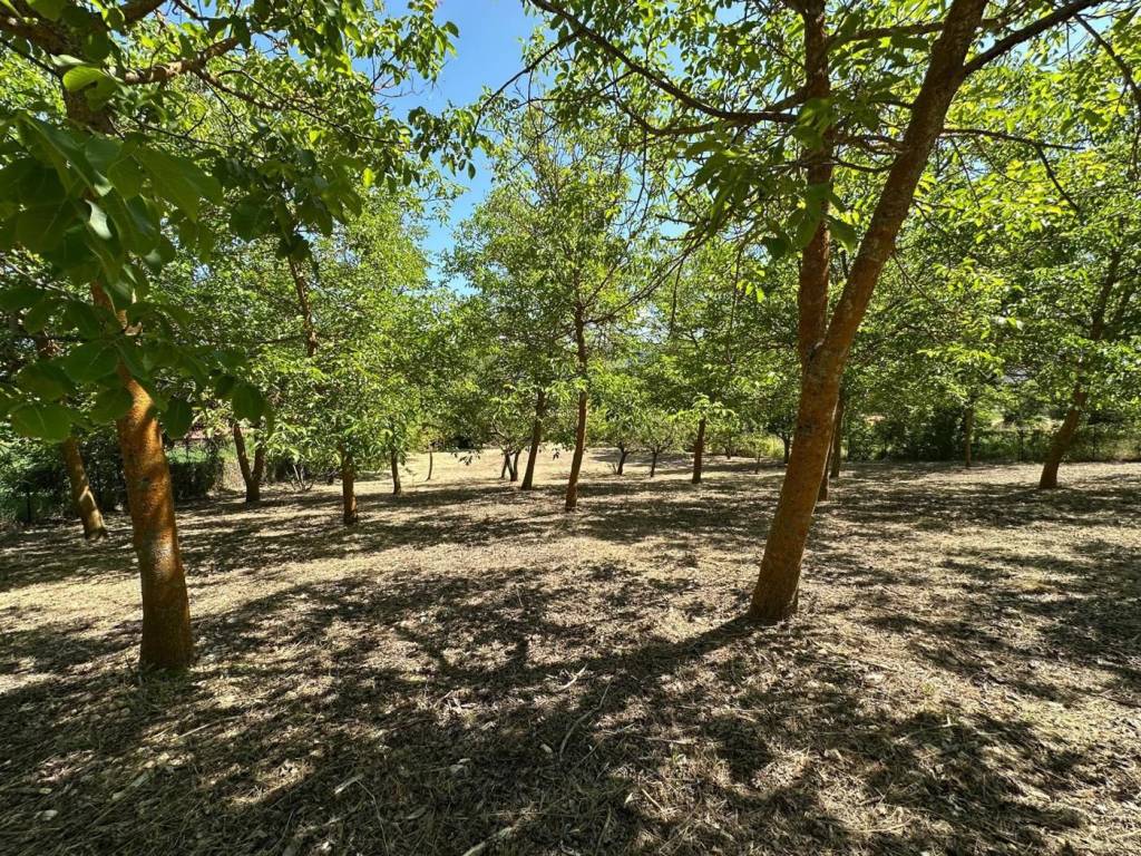 Terreno a Caporciano in Via Turri, snc - Foto 2