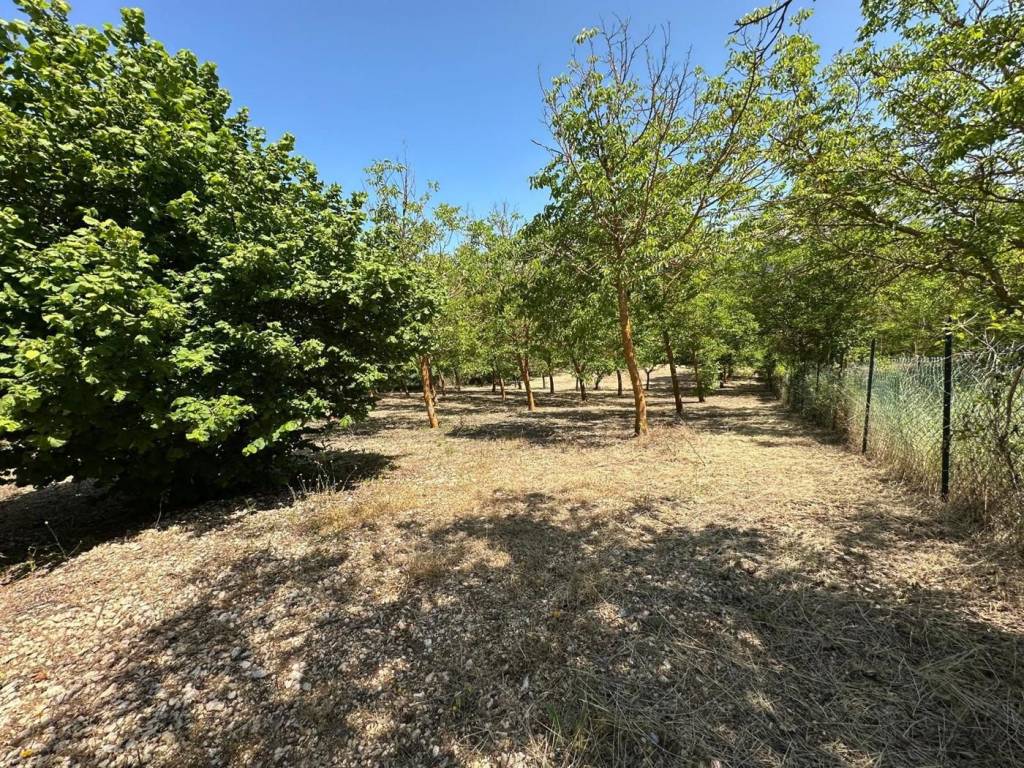 Terreno a Caporciano in Via Turri, snc - Foto 5