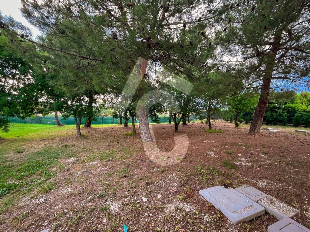 Villa a Santa maria nuova - Foto 4