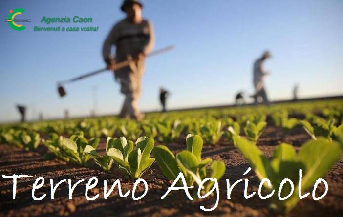 Terreno a Castelfranco veneto in Via Soranza - Foto 2