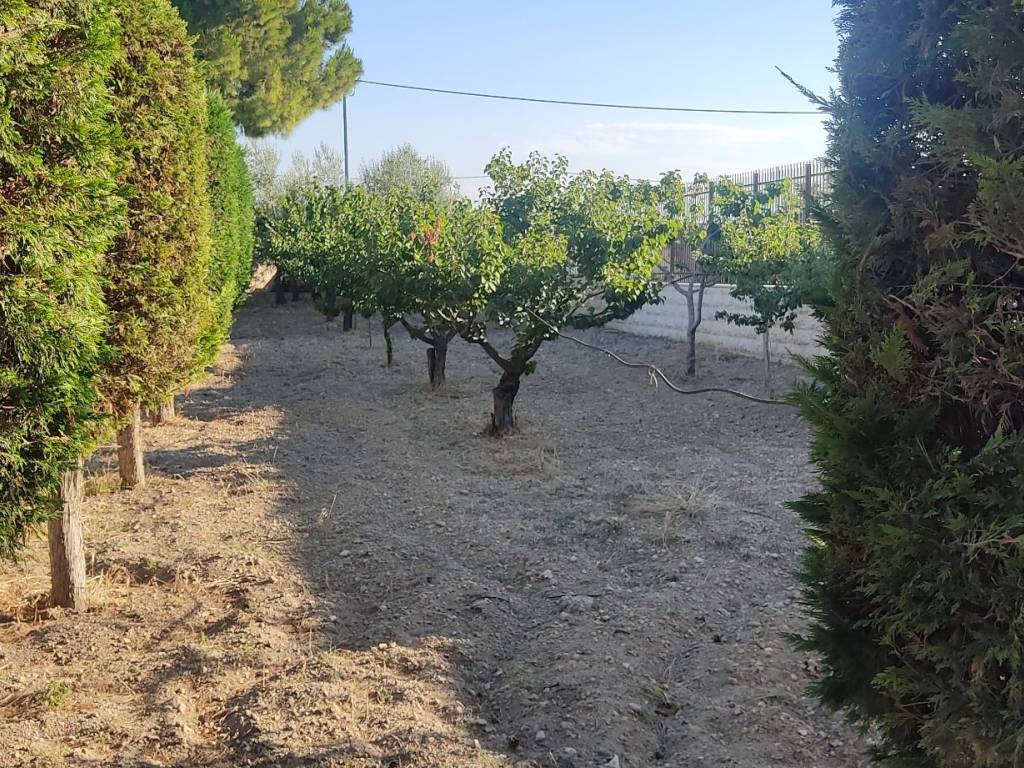 Villa a Trani in Contrada San Liussi, 5 - Foto 4