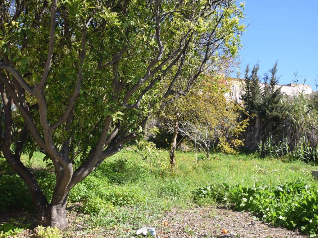 Terreno a Castelsardo in Via Nuoro, 1 - Foto 2