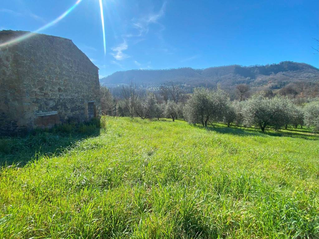 Rustico / casale a Bagnoregio in Strada Provinciale Valle di Bagnoregio - Foto 3