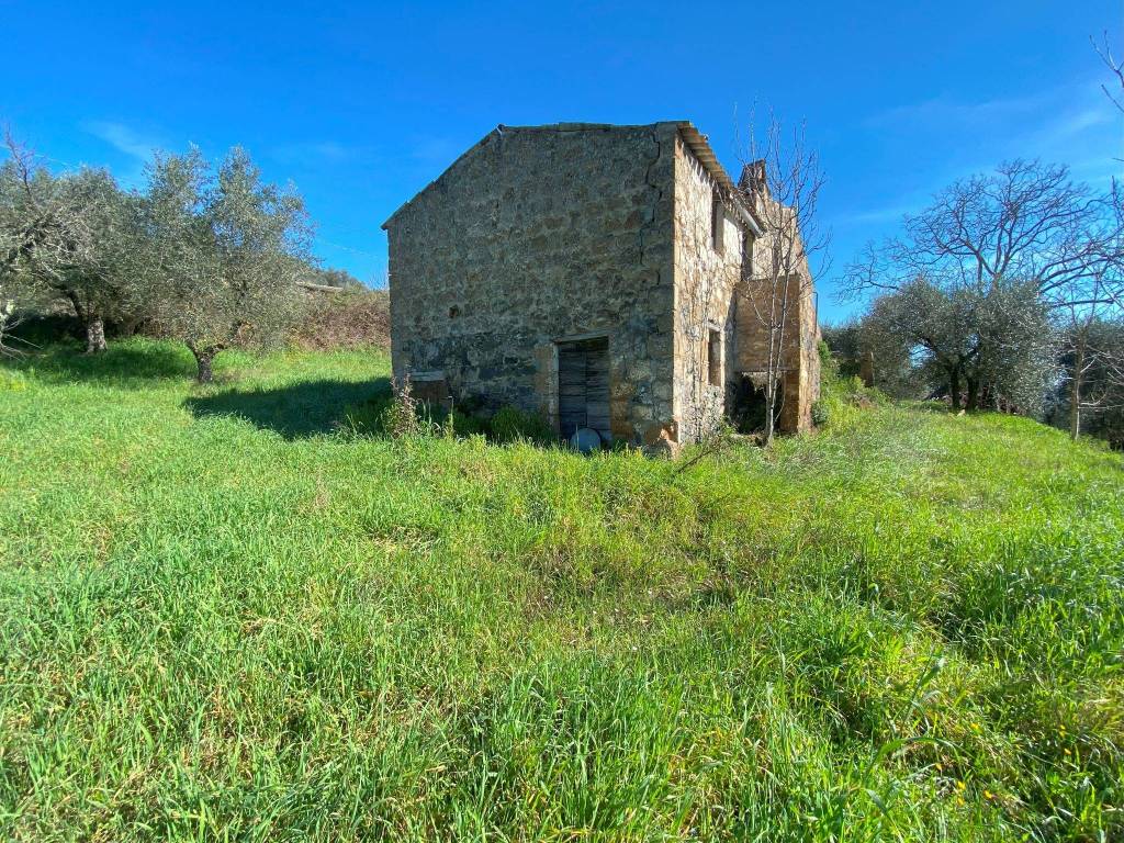 Rustico / casale a Bagnoregio in Strada Provinciale Valle di Bagnoregio - Foto 4