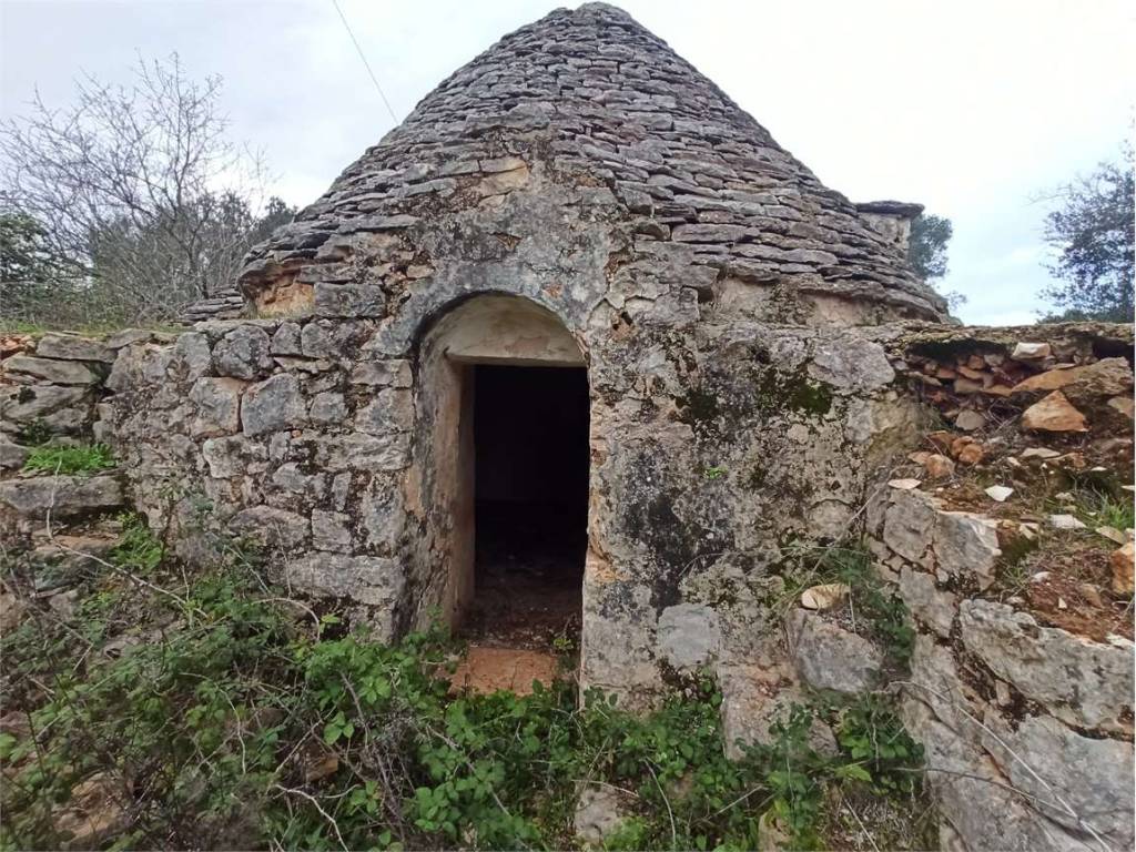 Terreno a Ceglie messapica - Foto 4