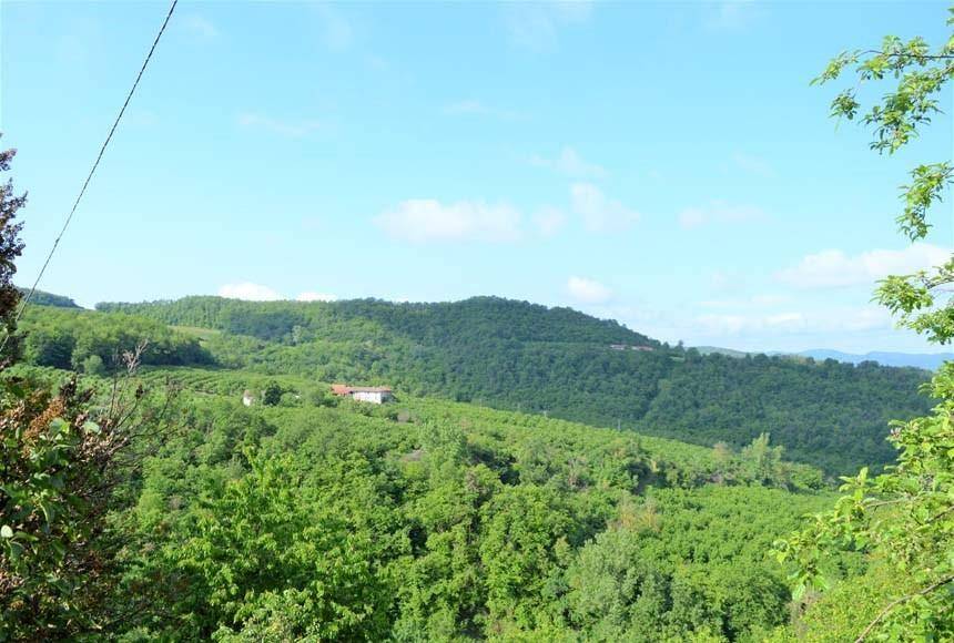 Rustico / casale a Perletto in Vedi coordinate (strada Serole) - Foto 2