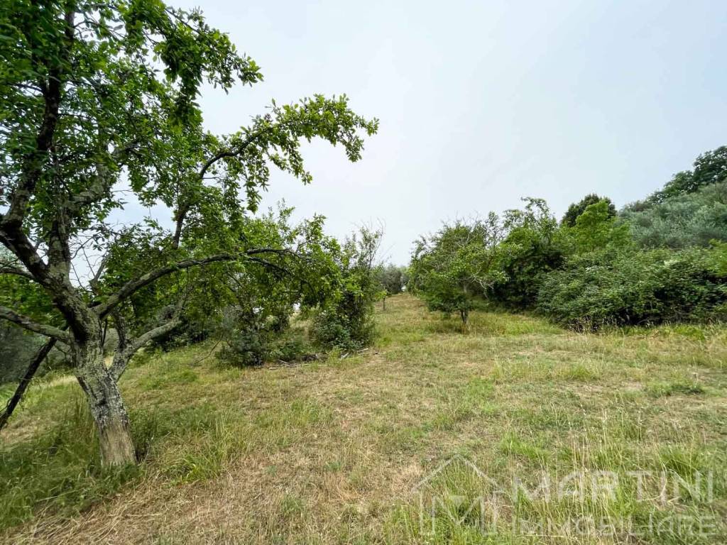 Terreno a Massa marittima in Via Dottor C. Bernardini - Foto 4