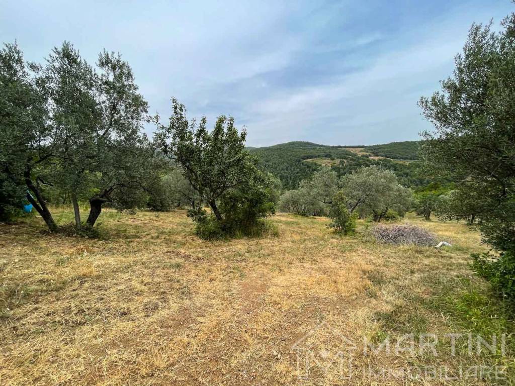 Terreno a Massa marittima in Via Dottor C. Bernardini - Foto 5