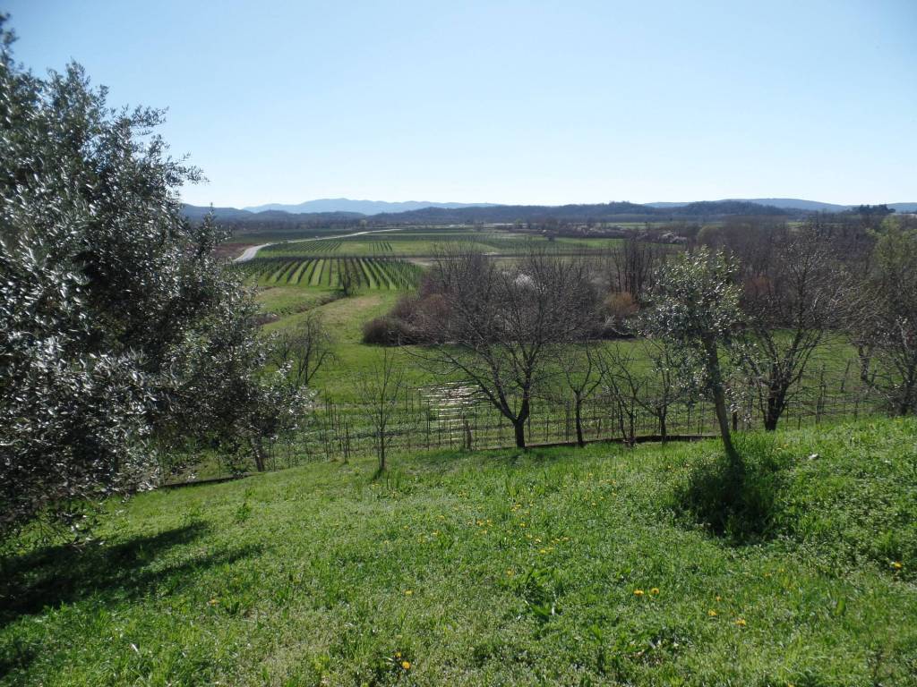 Villa a Cormons in Località Zegla - Foto 4