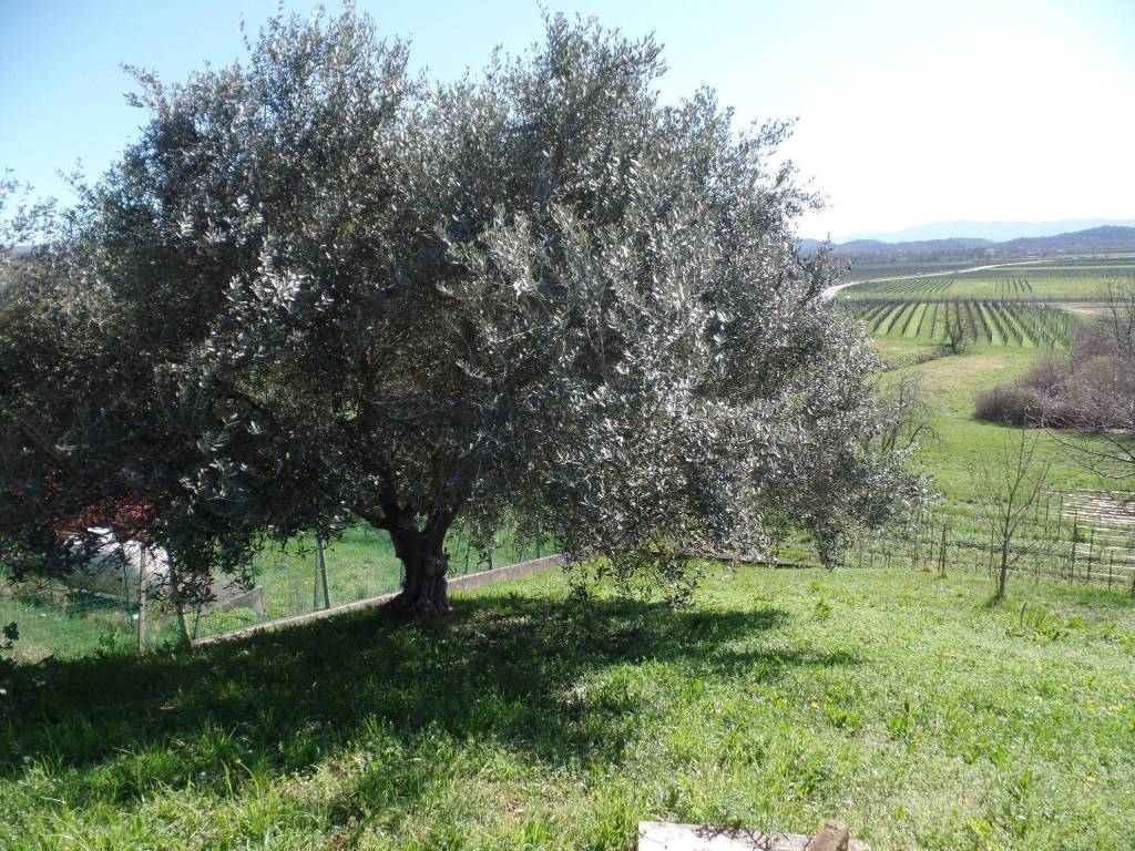 Villa a Cormons in Località Zegla - Foto 5