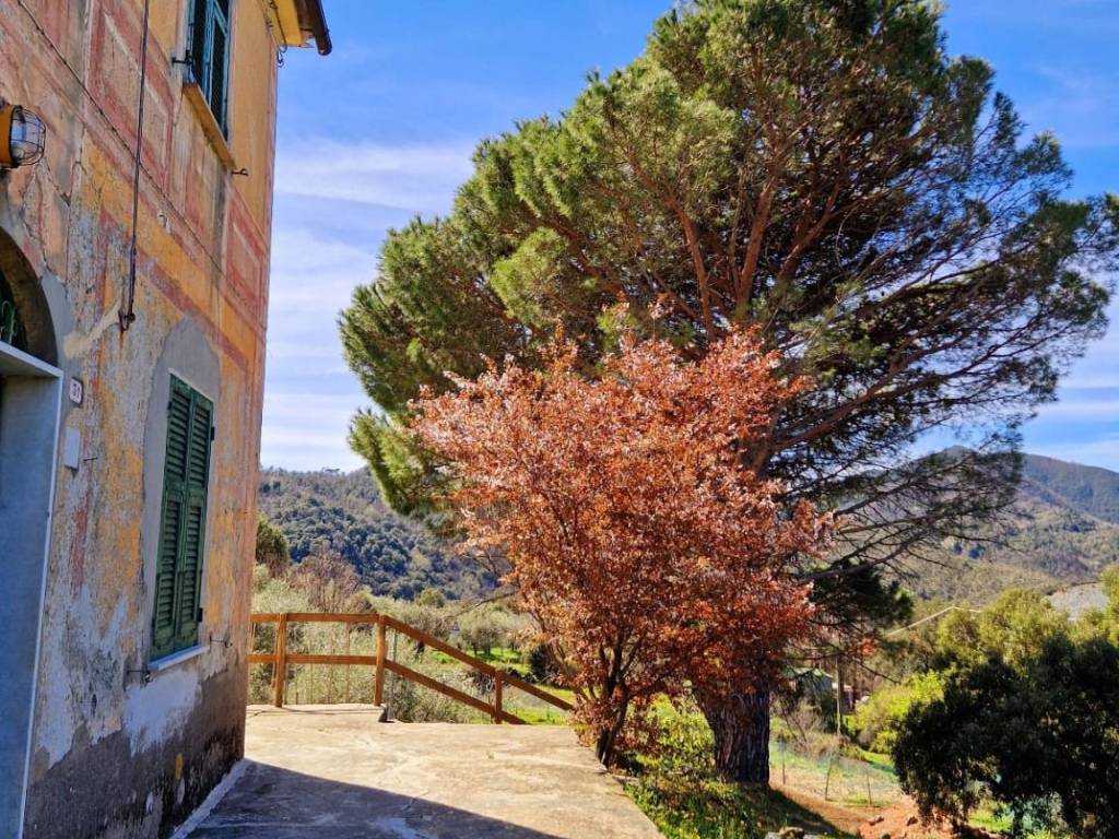 Rustico / casale a Sestri levante - Foto 3