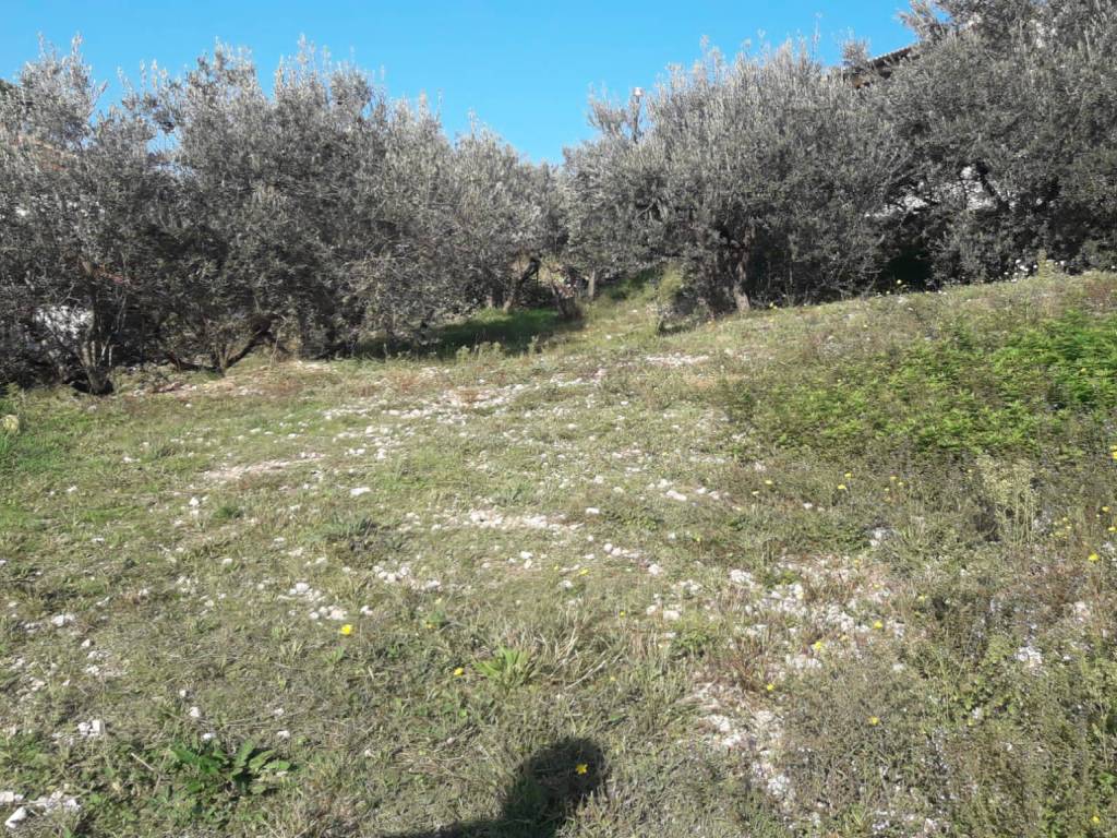 Terreno a Trevi - Foto 2