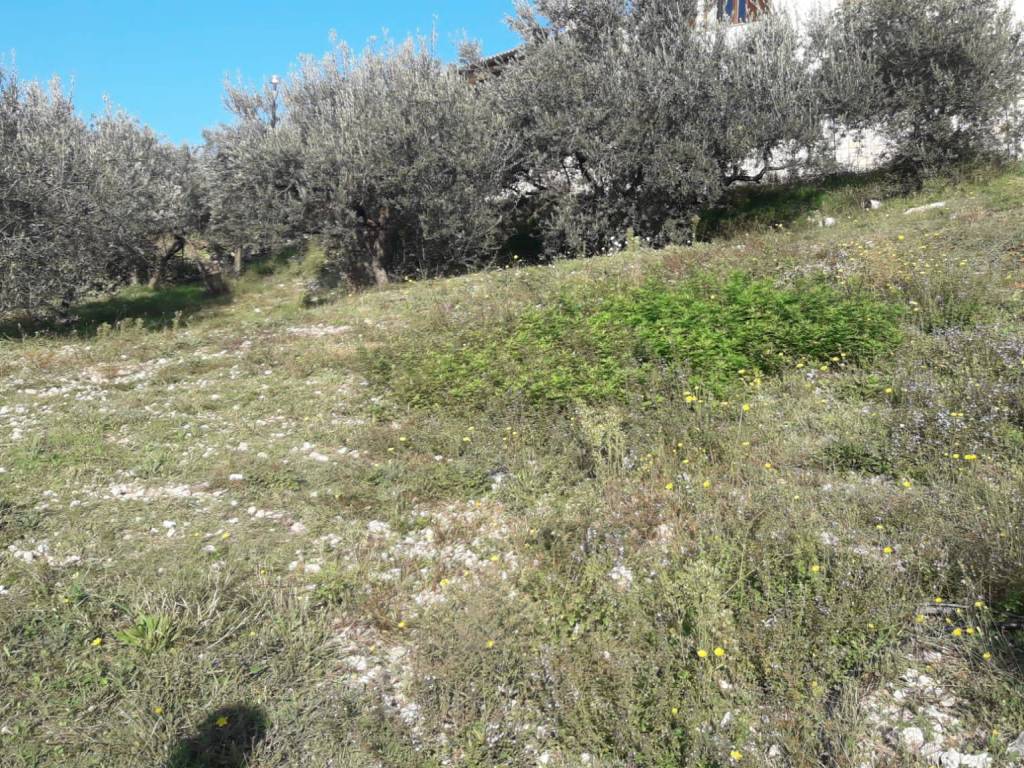 Terreno a Trevi - Foto 3