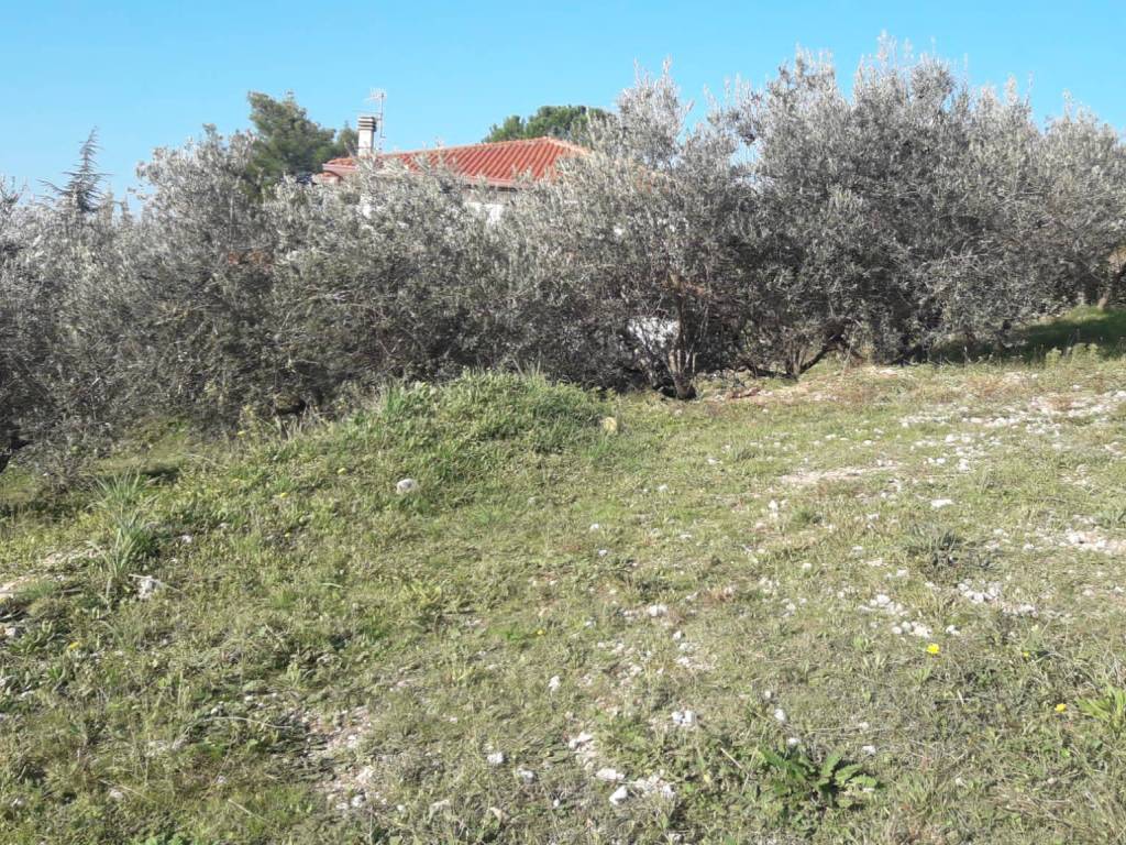 Terreno a Trevi - Foto 4