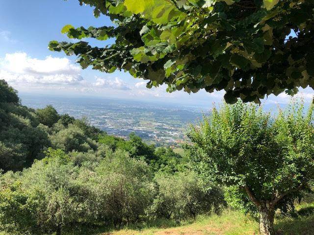 Rustico / casale a Pescia - Foto 3