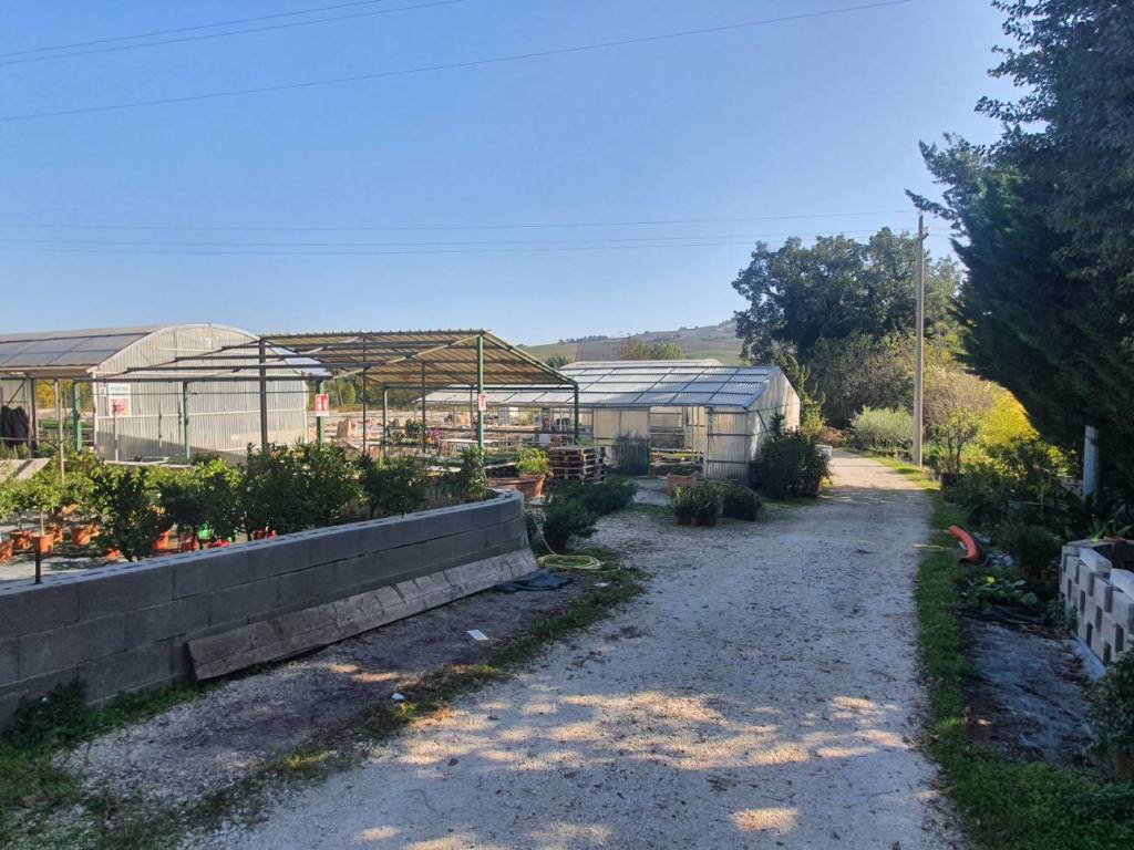 Immobile a San severino marche in Strada Provinciale Septempedana - Foto 3