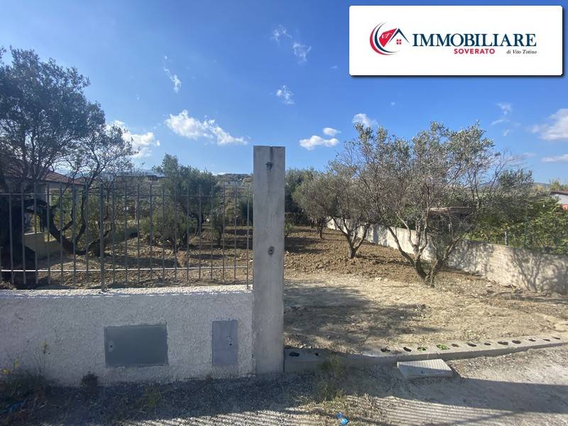 Terreno a Davoli - Foto 2