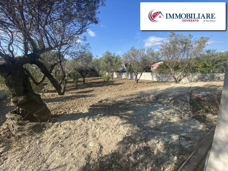 Terreno a Davoli - Foto 3