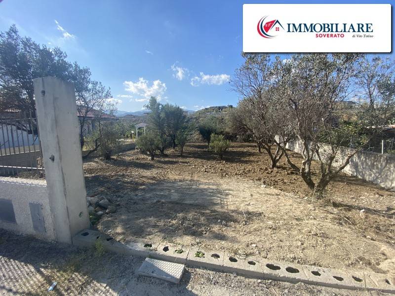 Terreno a Davoli - Foto 4