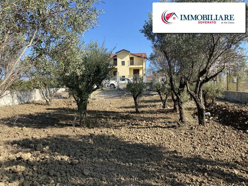 Terreno a Davoli - Foto 5