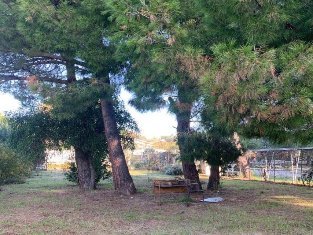 Terreno a Vieste in Località Santa Lucia - Foto 5