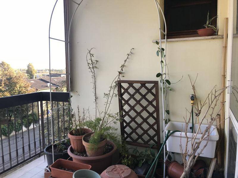 Appartamento a Novi di modena - Foto 4