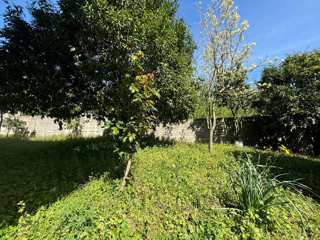 Villa a Montoro in Via Roma - Foto 4