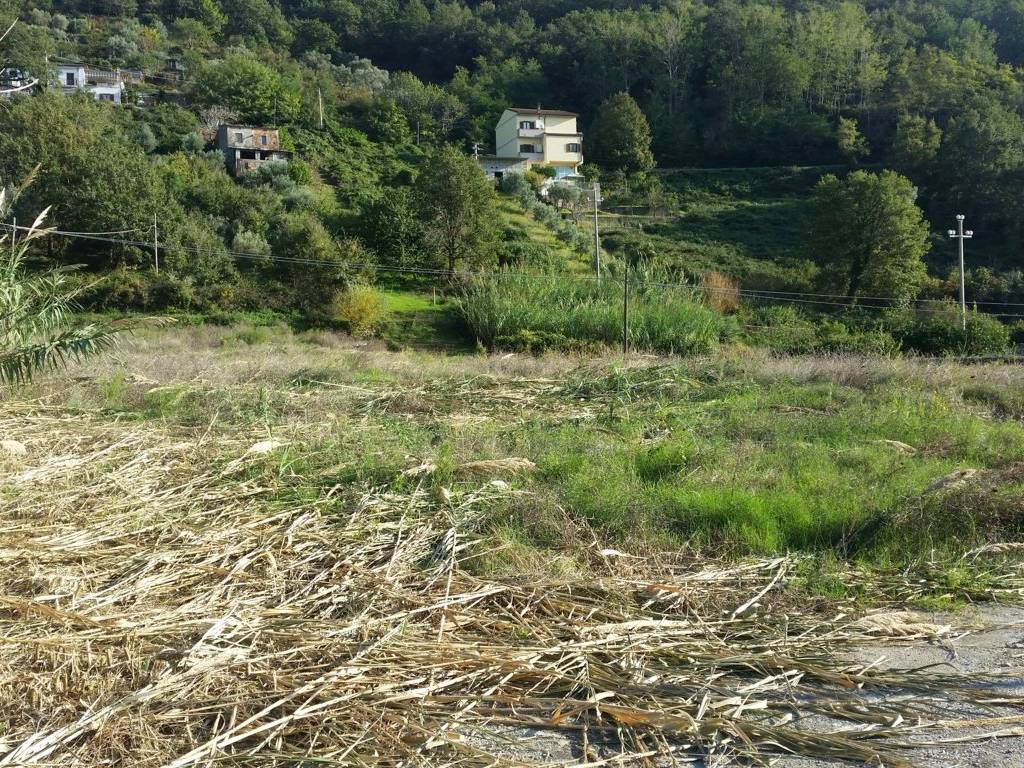 Terreno a Sangineto in SP16 - Foto 5
