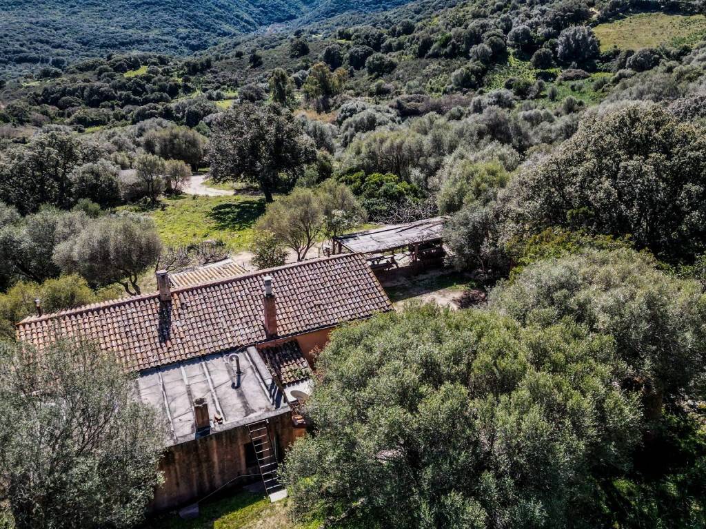 Rustico / casale a Luogosanto in Strada Provinciale per Luogosanto - Foto 2
