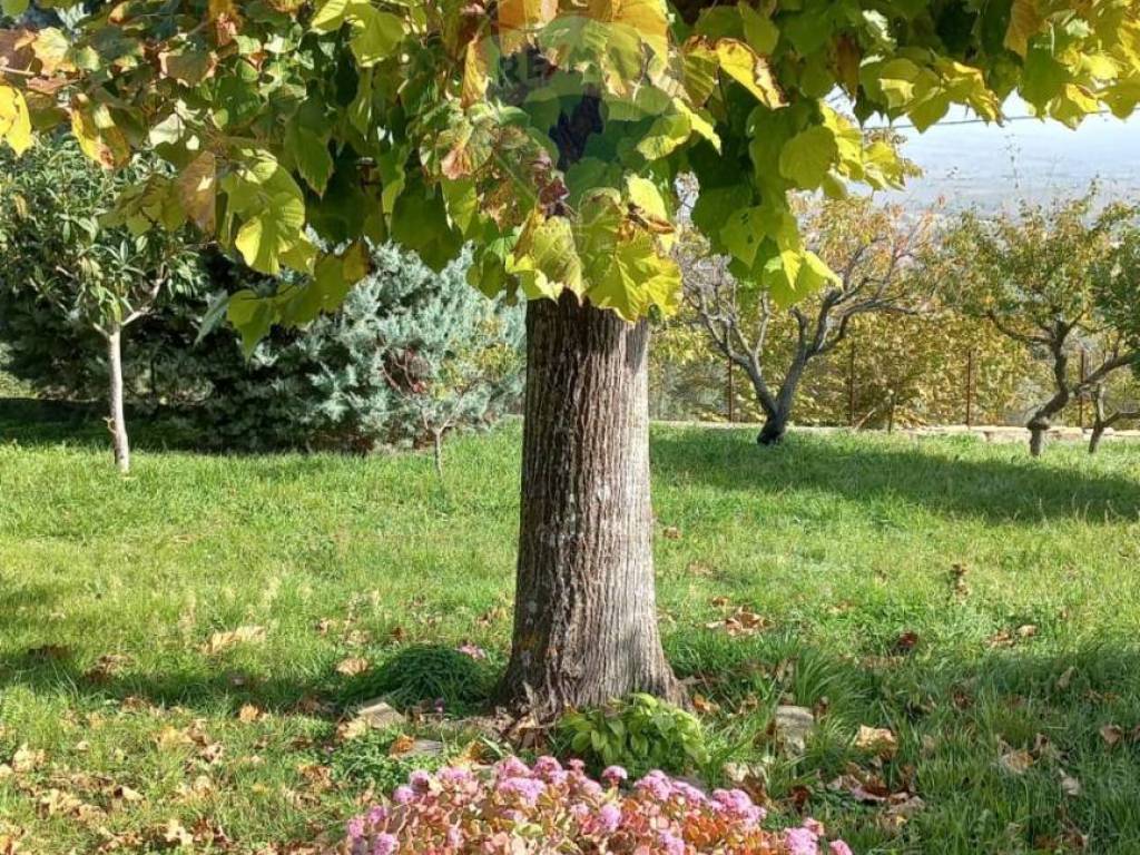 Rustico / casale a Cingoli in Vai Campi Lunghi (Già Palazzo di Avenale), 42 - Foto 2