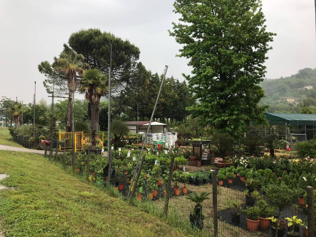 Terreno a Benevento in Contrada Pontecorvo - Foto 3