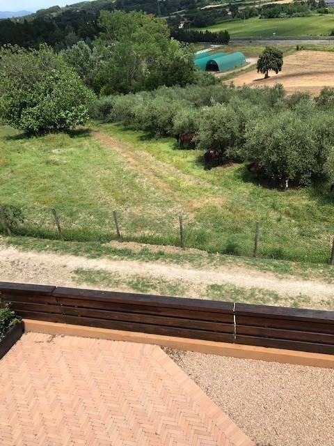 Terreno a Collesalvetti - Foto 4
